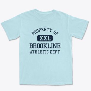 Brookline Vermont Athletic Dept Premium Heavyweight T-shirt