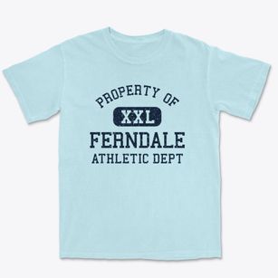 Ferndale Florida Athletic Dept Premium Heavyweight T-shirt