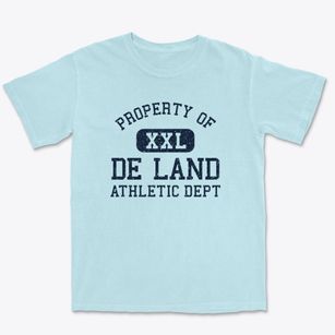 De Land Illinois Athletic Dept Premium Heavyweight T-shirt