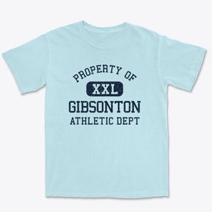 Gibsonton Florida Athletic Dept Premium Heavyweight T-shirt