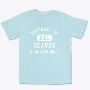 Beaver Utah Athletic Dept Premium Heavyweight T-shirt