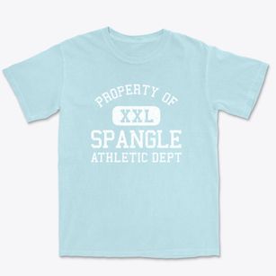 Spangle Washington Athletic Dept Premium Heavyweight T-shirt
