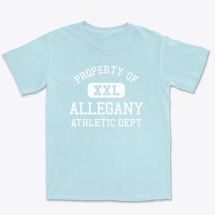 Allegany New York Athletic Dept Premium Heavyweight T-shirt