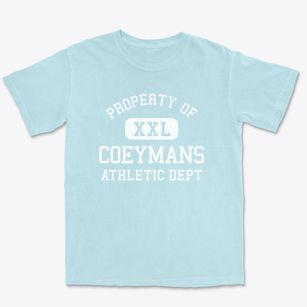 Coeymans New York Athletic Dept Premium Heavyweight T-shirt