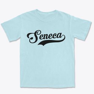 Seneca Kansas Vintage Team Premium Heavyweight T-shirt
