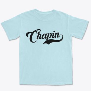Chapin Illinois Vintage Team Premium Heavyweight T-shirt