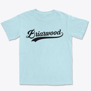 Briarwood Kentucky Vintage Team Premium Heavyweight T-shirt