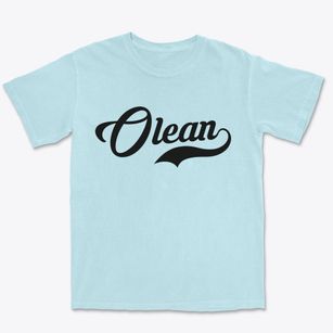 Olean New York Vintage Team Premium Heavyweight T-shirt