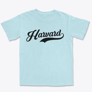 Harvard Illinois Vintage Team Premium Heavyweight T-shirt
