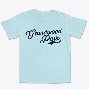 Grandwood Park Illinois Vintage Team Premium Heavyweight T-shirt