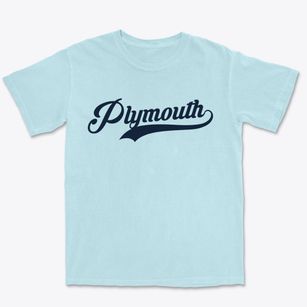 Plymouth New York Vintage Team Premium Heavyweight T-shirt