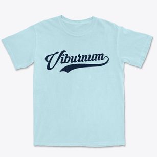 Viburnum Missouri Vintage Team Premium Heavyweight T-shirt