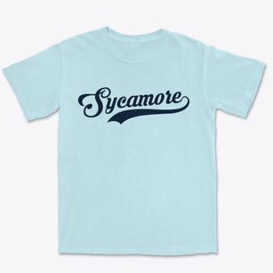Sycamore Illinois Vintage Team Premium Heavyweight T-shirt