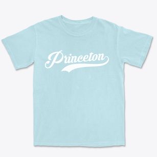 Princeton Kentucky Vintage Team Premium Heavyweight T-shirt