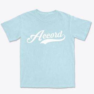 Accord New York Vintage Team Premium Heavyweight T-shirt