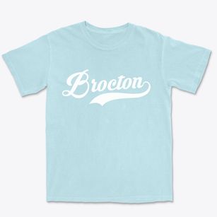 Brocton Illinois Vintage Team Premium Heavyweight T-shirt