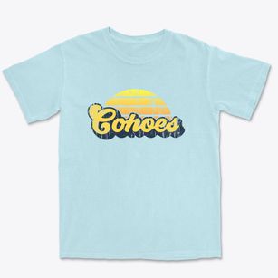 Cohoes New York Sublime Sunset Premium Heavyweight T-shirt