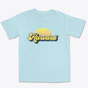 Harvard Illinois Sublime Sunset Premium Heavyweight T-shirt