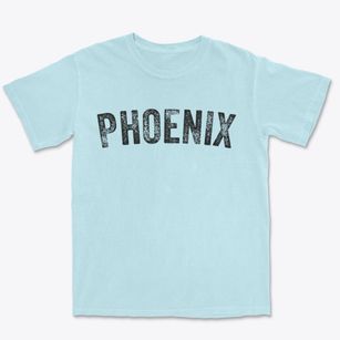Phoenix Oregon Timeless Retro Premium Heavyweight T-shirt