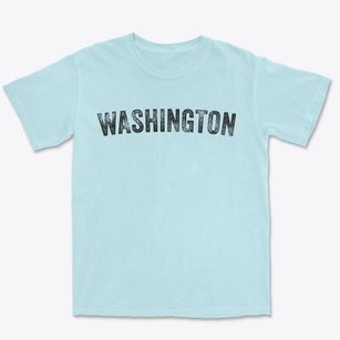 Washington New Hampshire Timeless Retro Premium Heavyweight T-shirt