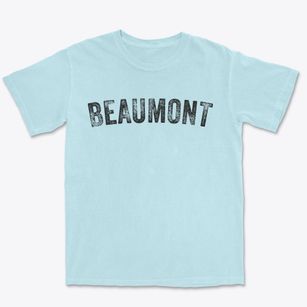 Beaumont Texas Timeless Retro Premium Heavyweight T-shirt