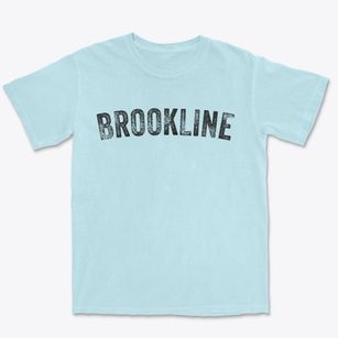 Brookline Vermont Timeless Retro Premium Heavyweight T-shirt