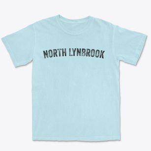 North Lynbrook New York Timeless Retro Premium Heavyweight T-shirt
