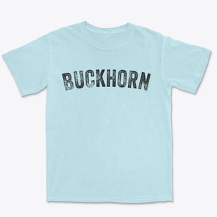 Buckhorn Pennsylvania Timeless Retro Premium Heavyweight T-shirt