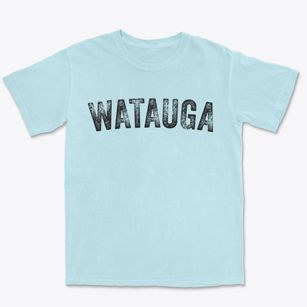 Watauga Tennessee Timeless Retro Premium Heavyweight T-shirt