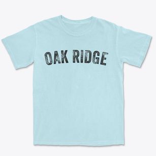 Oak Ridge Missouri Timeless Retro Premium Heavyweight T-shirt