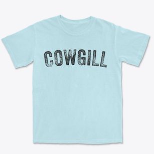 Cowgill Missouri Timeless Retro Premium Heavyweight T-shirt