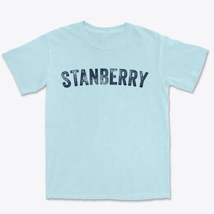 Stanberry Missouri Timeless Retro Premium Heavyweight T-shirt