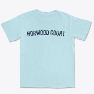 Norwood Court Missouri Timeless Retro Premium Heavyweight T-shirt