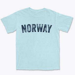 Norway New York Timeless Retro Premium Heavyweight T-shirt