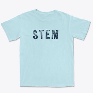 Stem North Carolina Timeless Retro Premium Heavyweight T-shirt