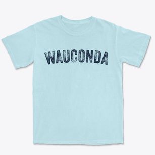 Wauconda Illinois Timeless Retro Premium Heavyweight T-shirt