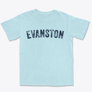 Evanston Wyoming Timeless Retro Premium Heavyweight T-shirt