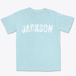 Jackson Alabama Timeless Retro Premium Heavyweight T-shirt