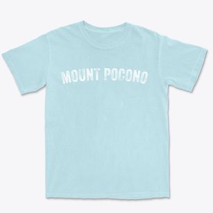 Mount Pocono Pennsylvania Timeless Retro Premium Heavyweight T-shirt
