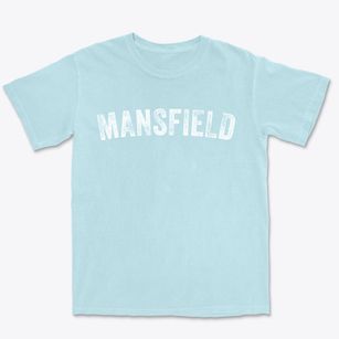 Mansfield Texas Timeless Retro Premium Heavyweight T-shirt