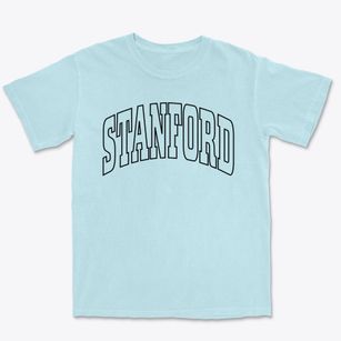 Stanford New York Trendy Block Premium Heavyweight T-shirt