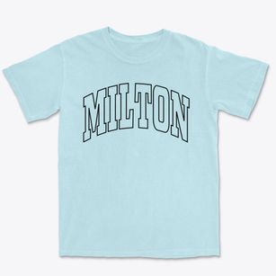 Milton Georgia Trendy Block Premium Heavyweight T-shirt
