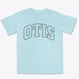 Otis Massachusetts Trendy Block Premium Heavyweight T-shirt
