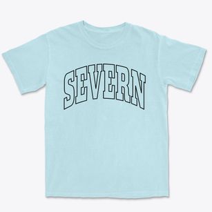 Severn North Carolina Trendy Block Premium Heavyweight T-shirt