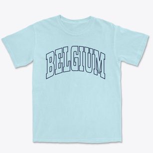 Belgium Wisconsin Trendy Block Premium Heavyweight T-shirt