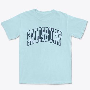 Salisbury North Carolina Trendy Block Premium Heavyweight T-shirt