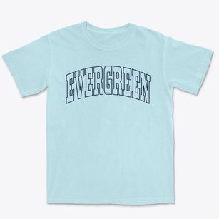 Evergreen Wisconsin Trendy Block Premium Heavyweight T-shirt