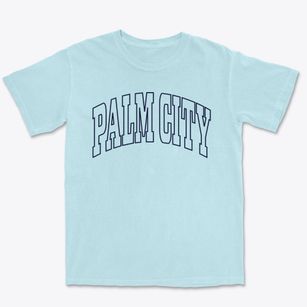 Palm City Florida Trendy Block Premium Heavyweight T-shirt