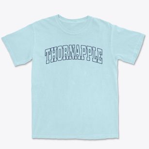 Thornapple Wisconsin Trendy Block Premium Heavyweight T-shirt