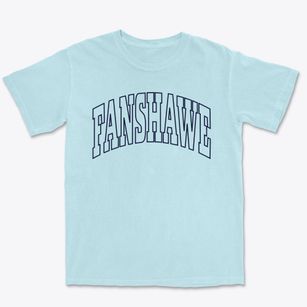 Fanshawe Oklahoma Trendy Block Premium Heavyweight T-shirt